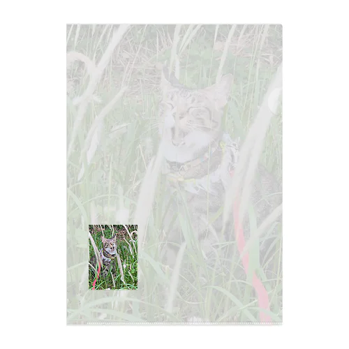 家ねこ鼻コチョコチョで変顔 Clear File Folder