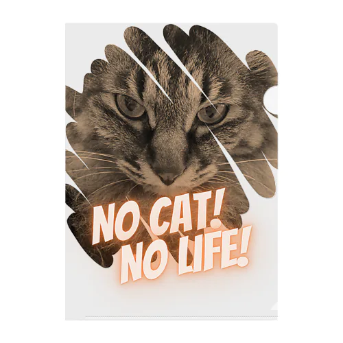 NO CAT! NO LIFE! Clear File Folder