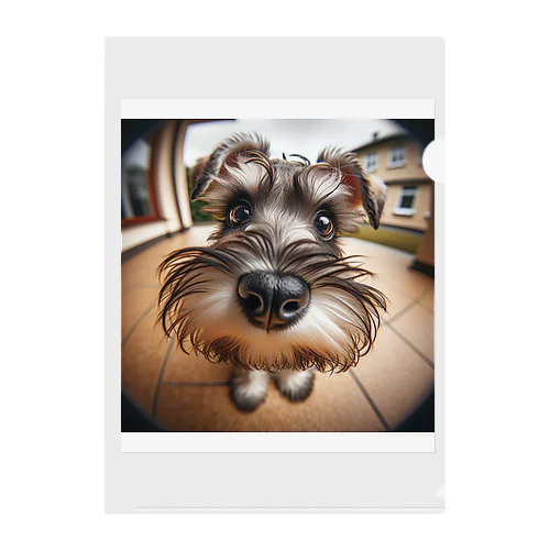 schnauzer Clear File Folder