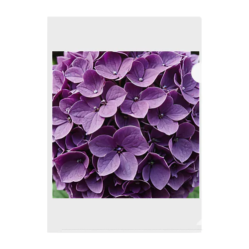 魅惑の紫陽花 クリアファイル