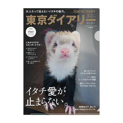 東京ダイアリー Clear File Folder