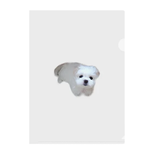 ミルクが家族になった日🐶 Clear File Folder