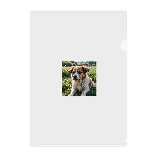 草むらで斜めを見つめる犬 dog looking for the anywhere Clear File Folder