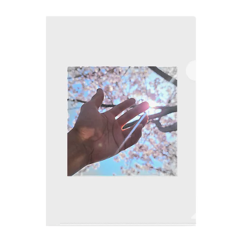 SAKURA Clear File Folder