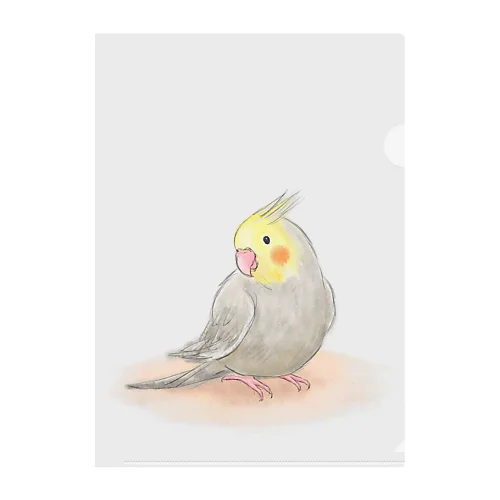 オカメインコ　シナモン【まめるりはことり】 Clear File Folder