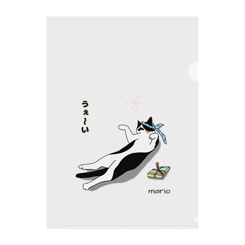 ひげ猫マリオ Clear File Folder