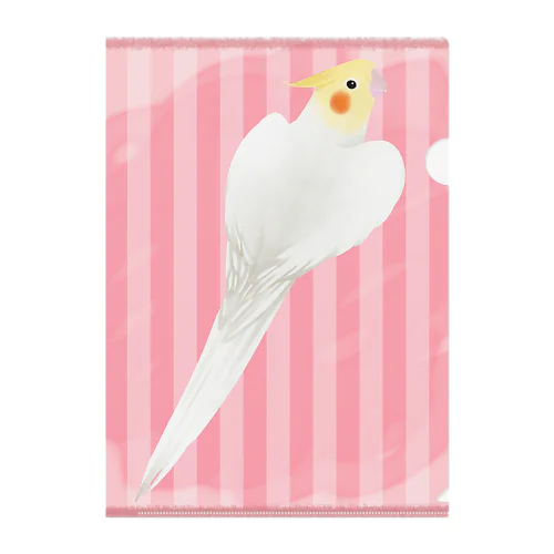 オカメインコ　ハートルチノーオカメインコ【まめるりはことり】 Clear File Folder