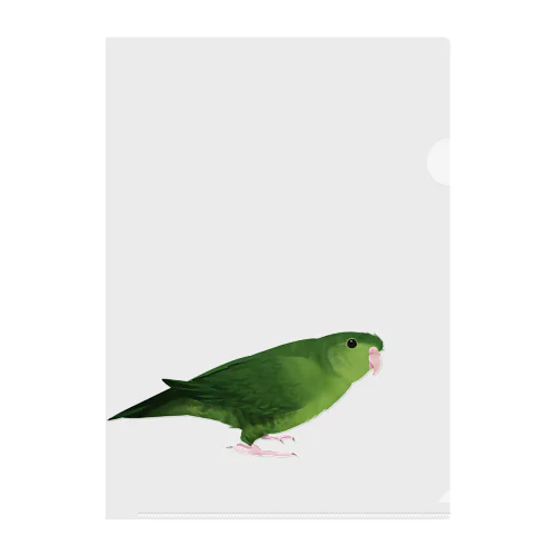 サザナミインコ　グリーン【まめるりはことり】 Clear File Folder