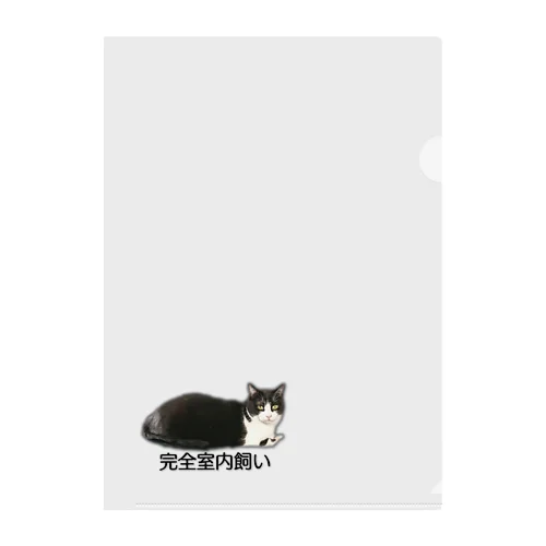 完全室内飼いのマチ子 Clear File Folder