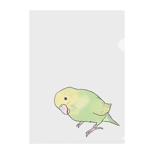 首傾げ　スパングルセキセイインコちゃん【まめるりはことり】 Clear File Folder