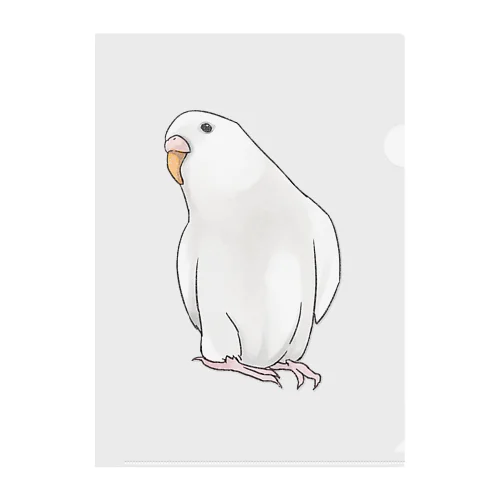 アルビノセキセイインコちゃん【まめるりはことり】 Clear File Folder