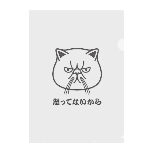 エキゾチックショートヘア「怒ってないから」 クリアファイル