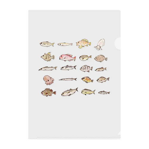 海の魚シリーズ🐟 Clear File Folder