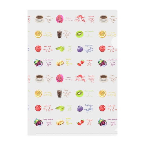 いろいろな分子 Clear File Folder