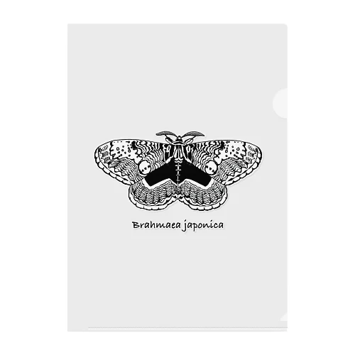 Brahmaea japonica Clear File Folder