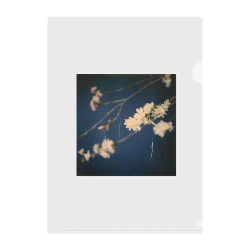 夜桜 Clear File Folder