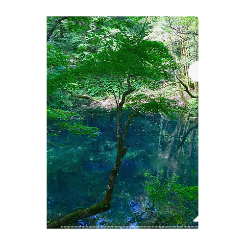 青森　白神山地 Clear File Folder