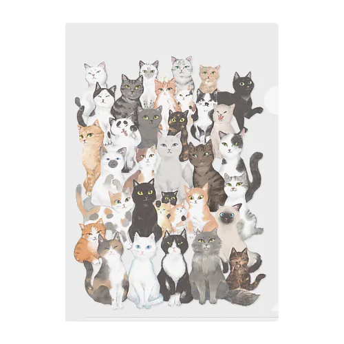 猫ネットワーク Clear File Folder