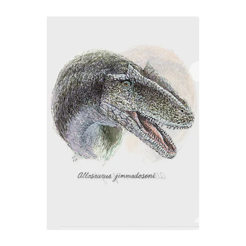 Allosaurus (jimmadoseni) クリアファイル