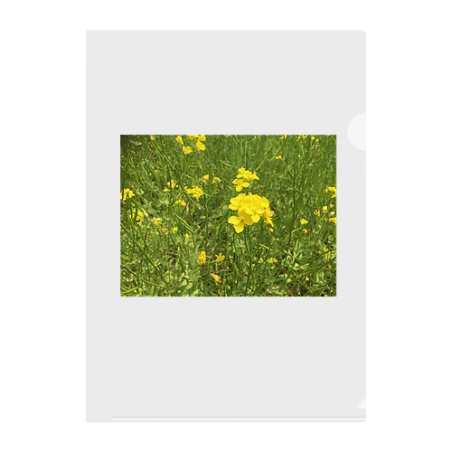 Flowers Clear File Folder