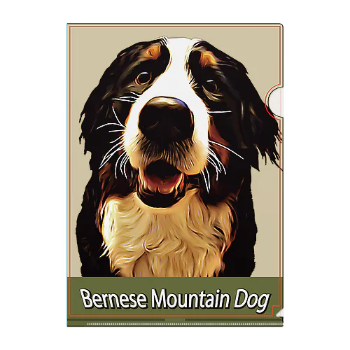 バーニーズマウンテンドッグ／Bernese Mountain Dog／001-01／クリアファイル Clear File Folder