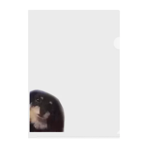 すこやかン家の犬 Clear File Folder