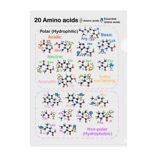 20アミノ酸ぴよ(背景透明) クリアファイル