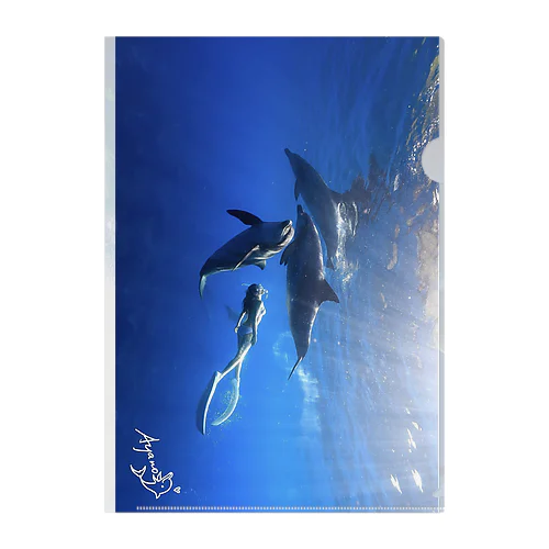 Ayano & Dolphin クリアな商品 Clear File Folder