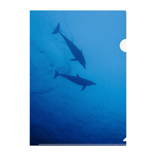 Dolphin Clear File Folder