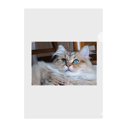 舌出しリラックス猫 Clear File Folder