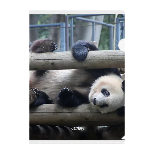 おっとっと PANDA Clear File Folder