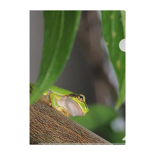 にほんあまがえる リバーシブル クリアファイル