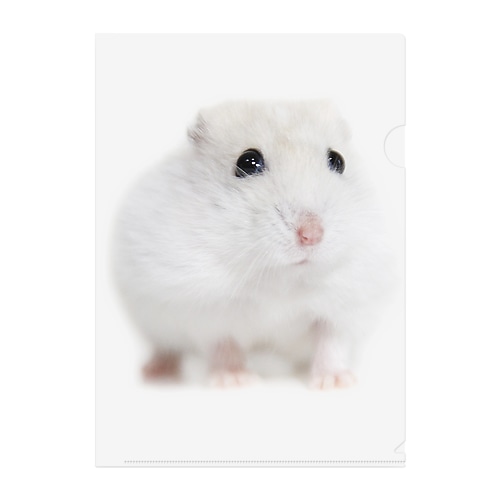 ハムスター Clear File Folder