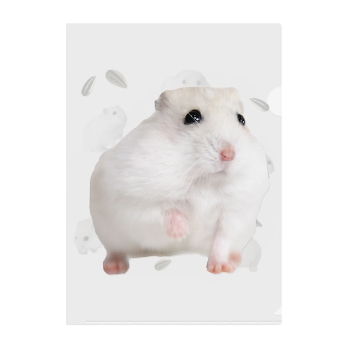 ハムスター Clear File Folder