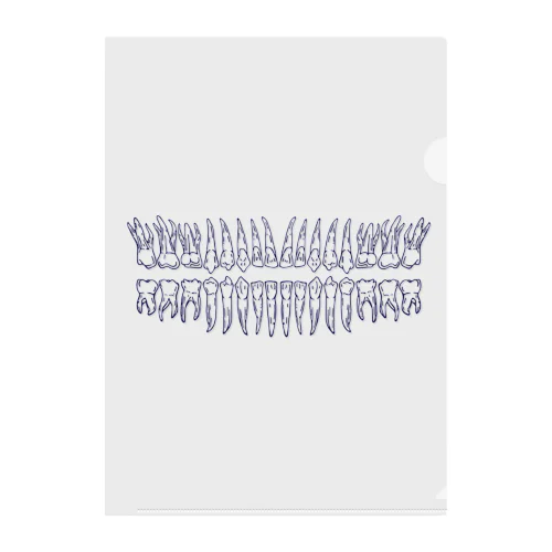 dentata Clear File Folder