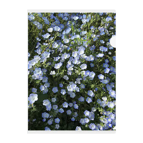 Love Nemophila Clear File Folder