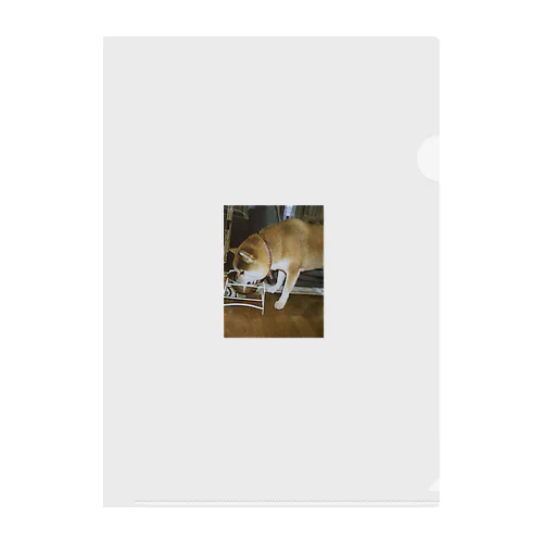 食べる犬 Clear File Folder