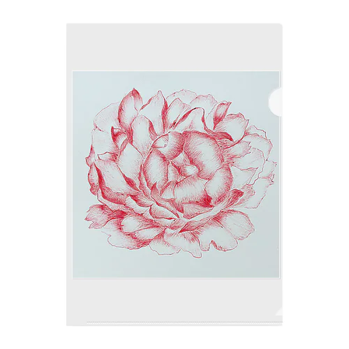 芍薬 peony Clear File Folder