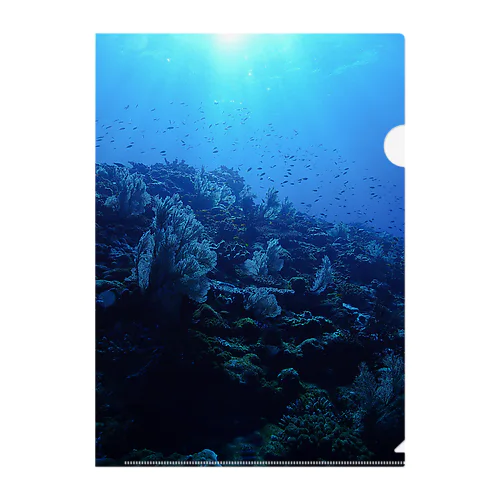 黒潮の海 Clear File Folder