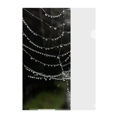 spiderweb drop Clear File Folder