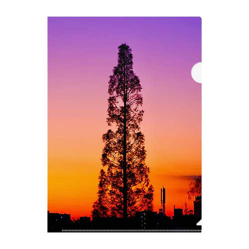夕焼けの空に伸びる木 クリアファイル
