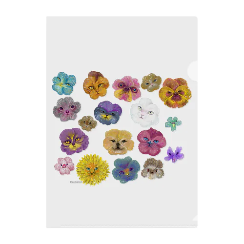 Pansies Clear File Folder