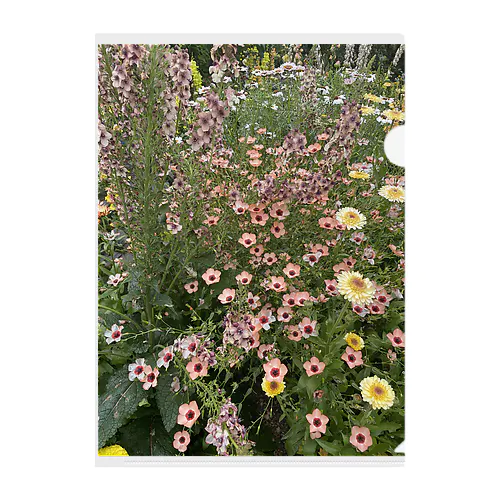 薔薇園にて2 Clear File Folder