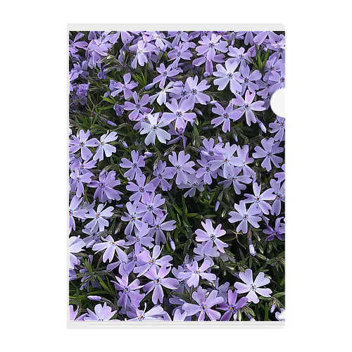 なんか紫の花 Clear File Folder