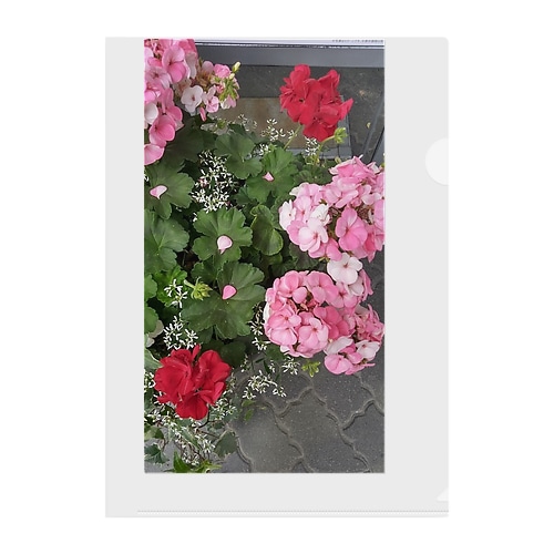 散歩時の花 Clear File Folder