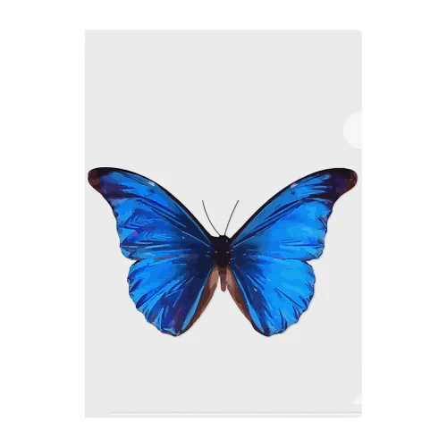 Morpho Clear File Folder