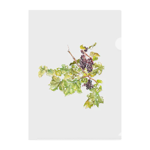 Grapes（英国の葡萄畑より） クリアファイル
