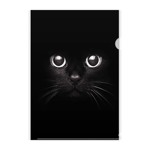 Black Cat Clear File Folder