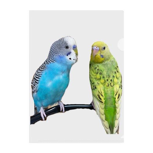 インコのアルちゃんテンちゃん Clear File Folder