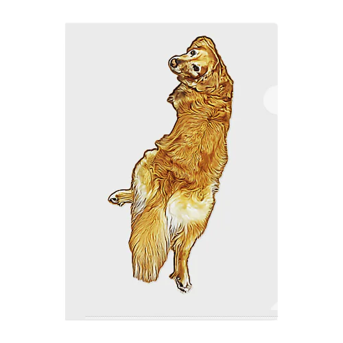 golden retriever Clear File Folder